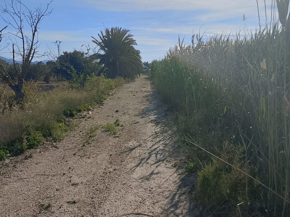 Helårsgrund i El Realengo, Alicante - foto 4